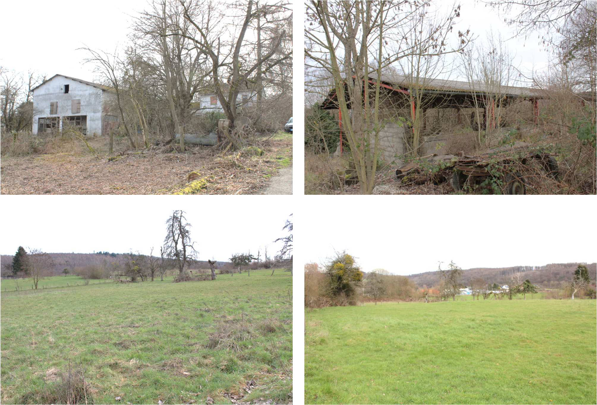 land- und forstwirtschaftlich genutztes Grundstück, Einfamilienhaus in Elisabethenhof, 56412  Oberelbert, - Bild 5