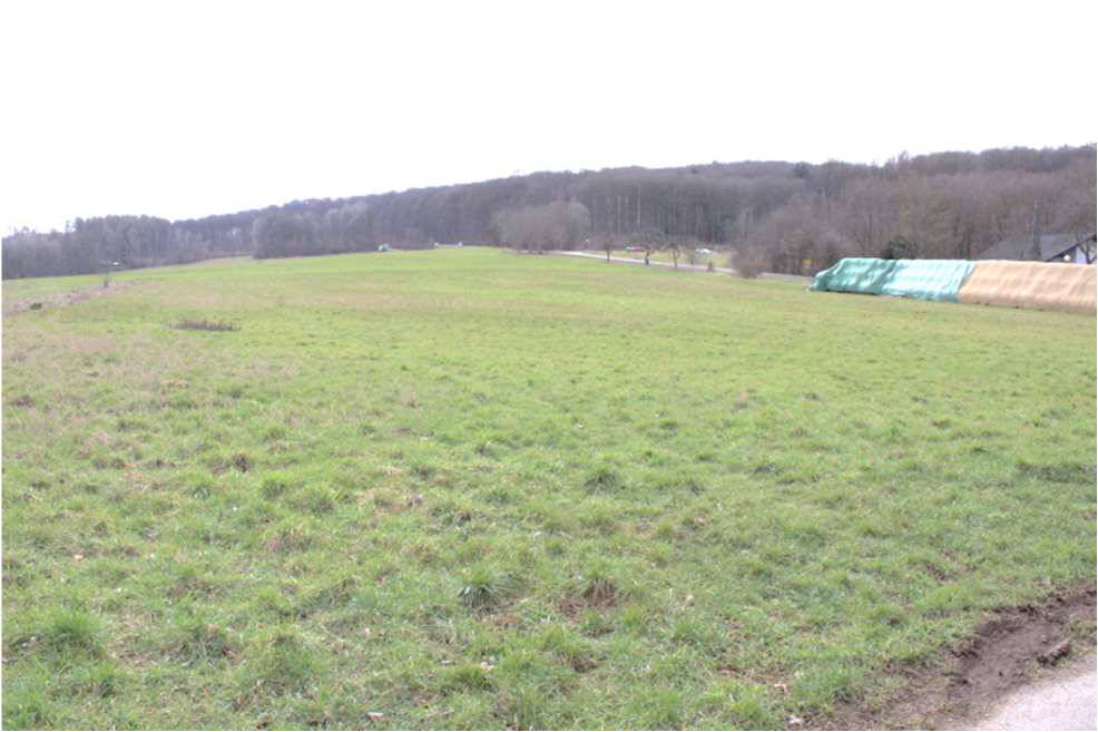 land- und forstwirtschaftlich genutztes Grundstück, Einfamilienhaus in Elisabethenhof, 56412  Oberelbert, - Bild 4