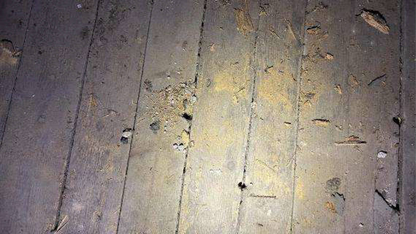 rheinland-pfalz 0014 K 0005/2025 Brunnenstraße 6, 56237 Wittgert 29