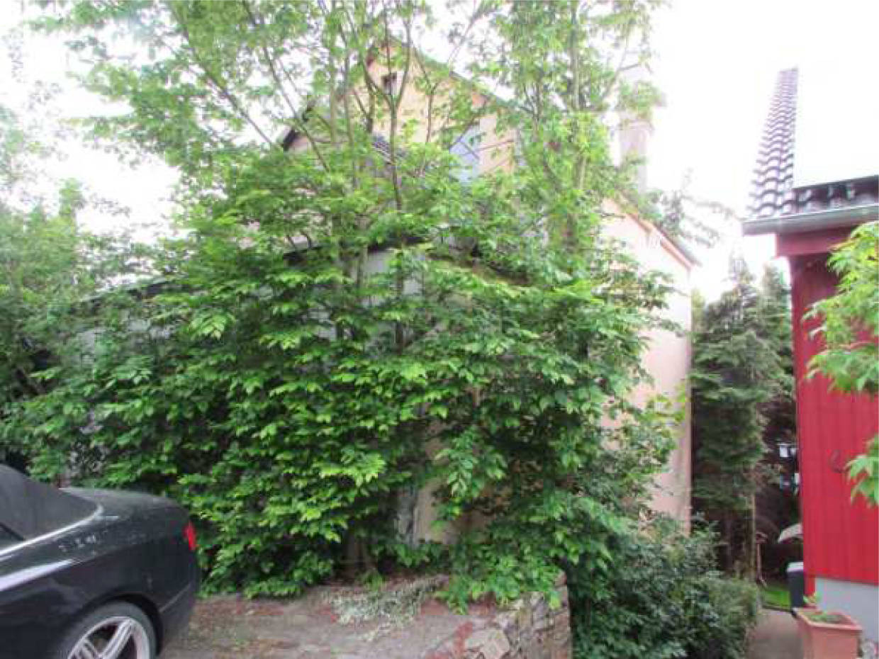 rheinland-pfalz 0014K0012-2023 Wiesenstraße 4B, 56204 Hillscheid