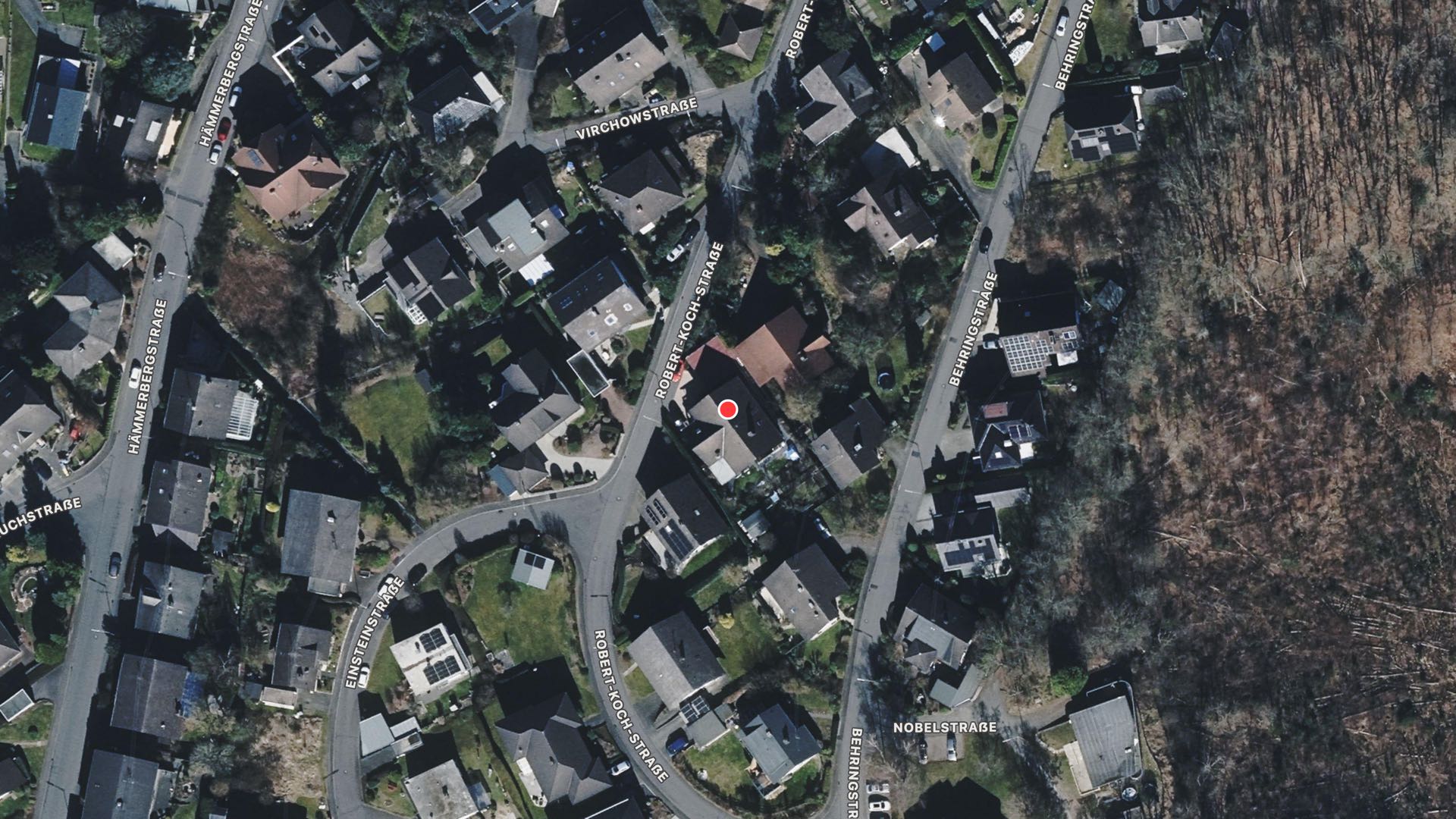 zweieinhalbgeschossiges Einfamilienhaus mit Doppelgarage in Robert-Koch-Straße 7, 57537 Wissen - Bild 2