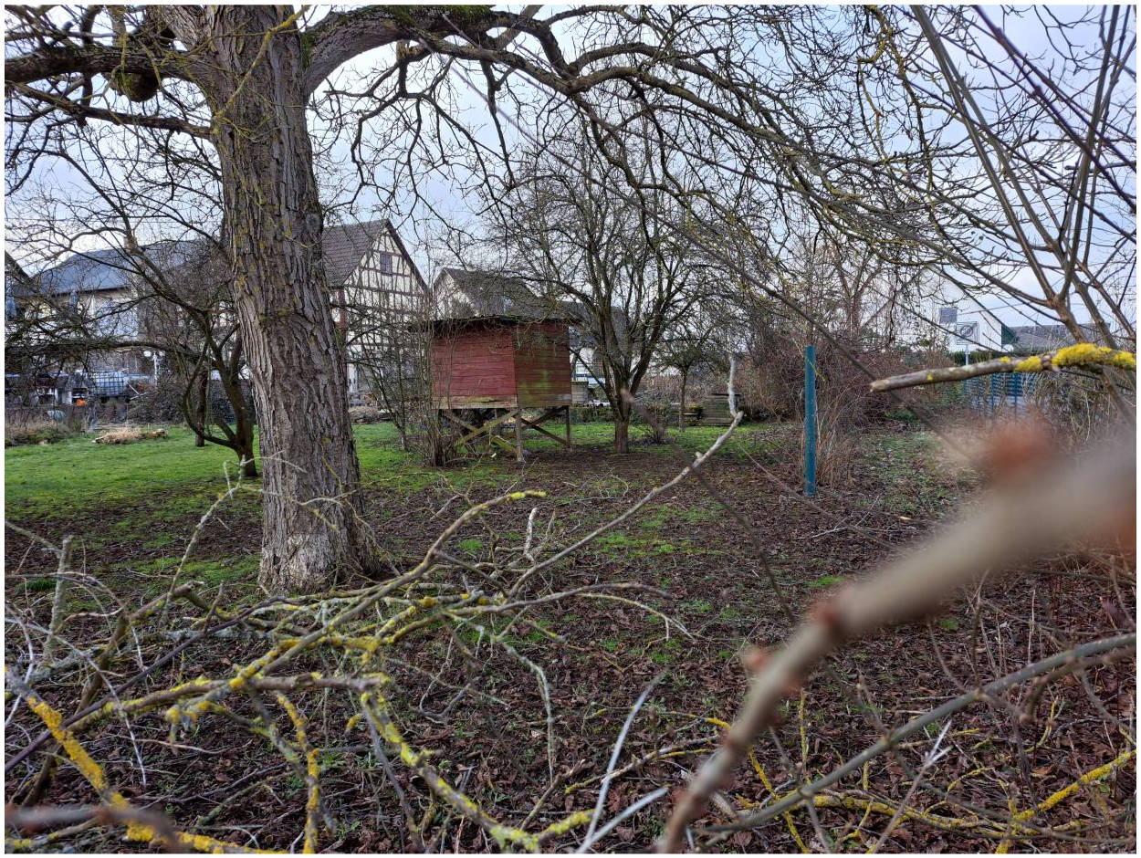 unbebautes Grundstück in Buchenstraße 2, 56412 Heilberscheid - Bild 5