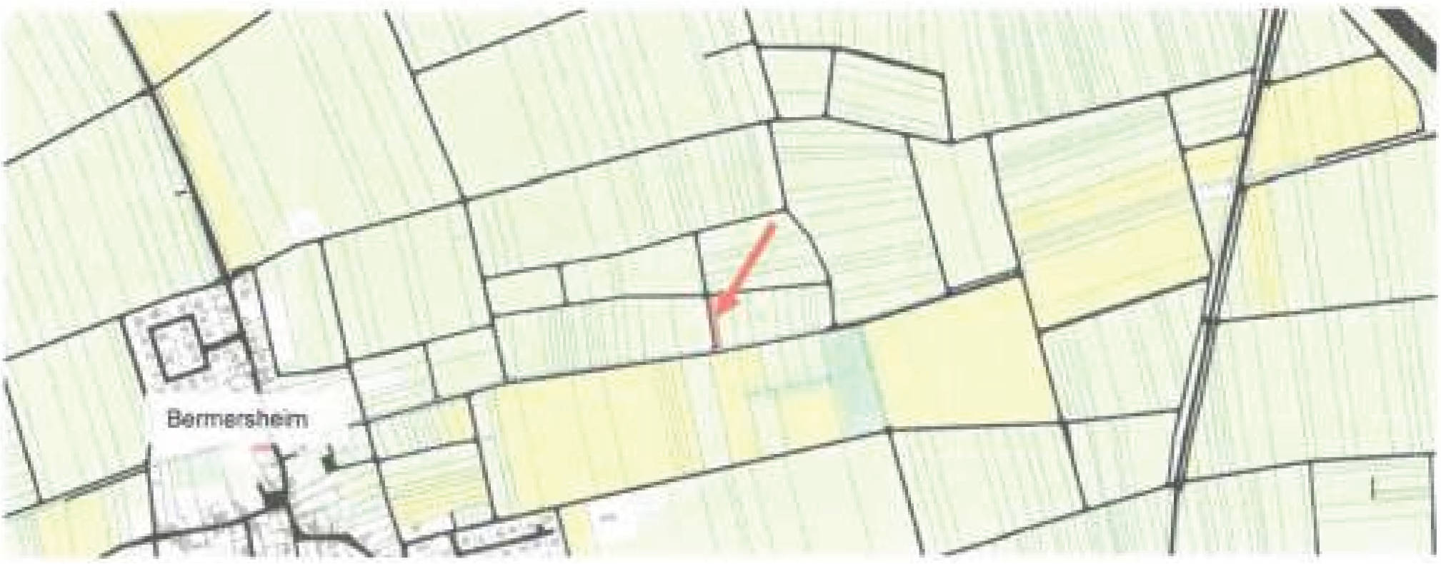 land- und forstwirtschaftlich genutztes Grundstück in Im Hasenlauf, 67593 Bermersheim bei Worms