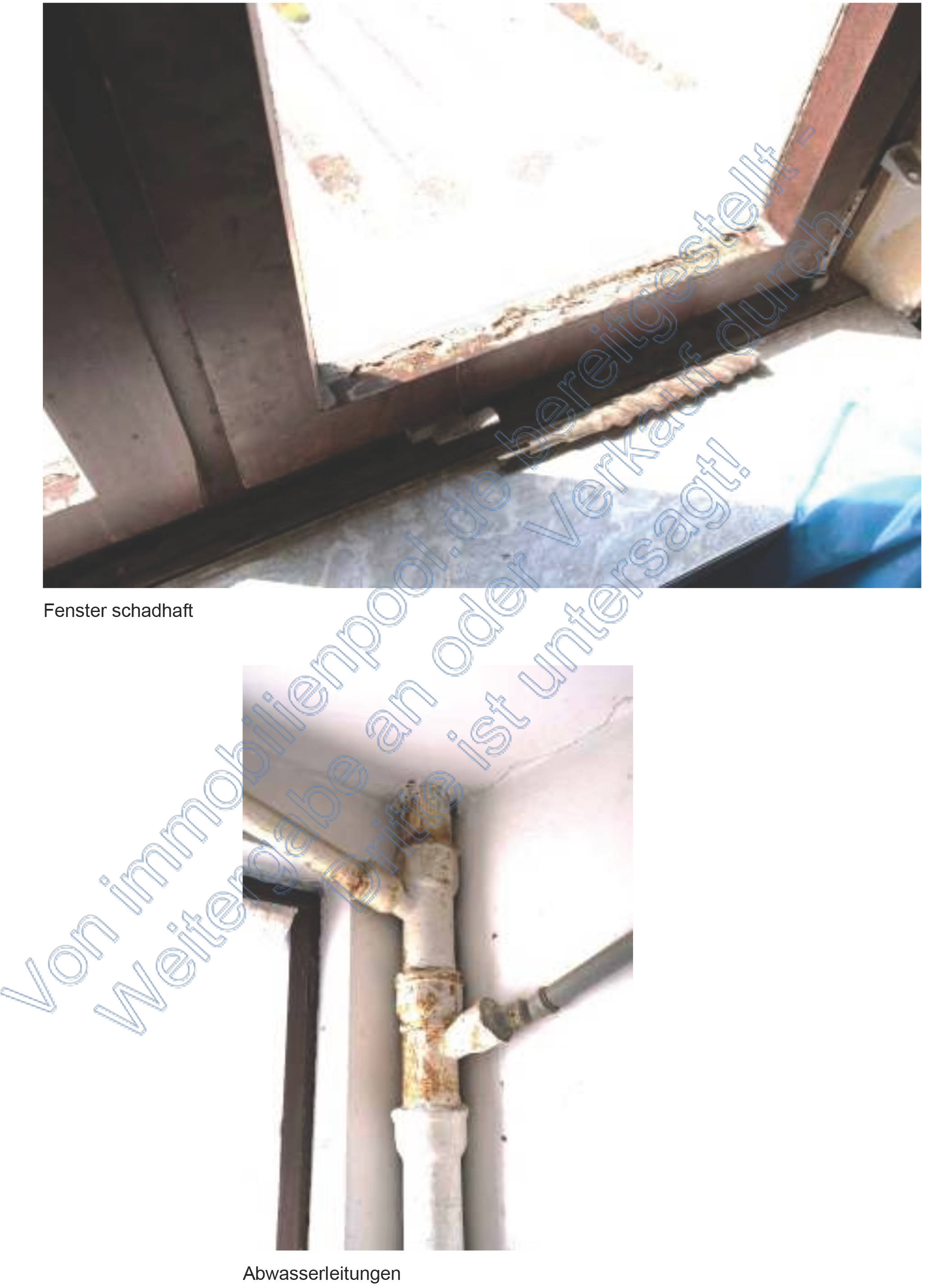 rheinland-pfalz 0023K0020/2024 Heiligenbungert 5, 54317 Kasel 20