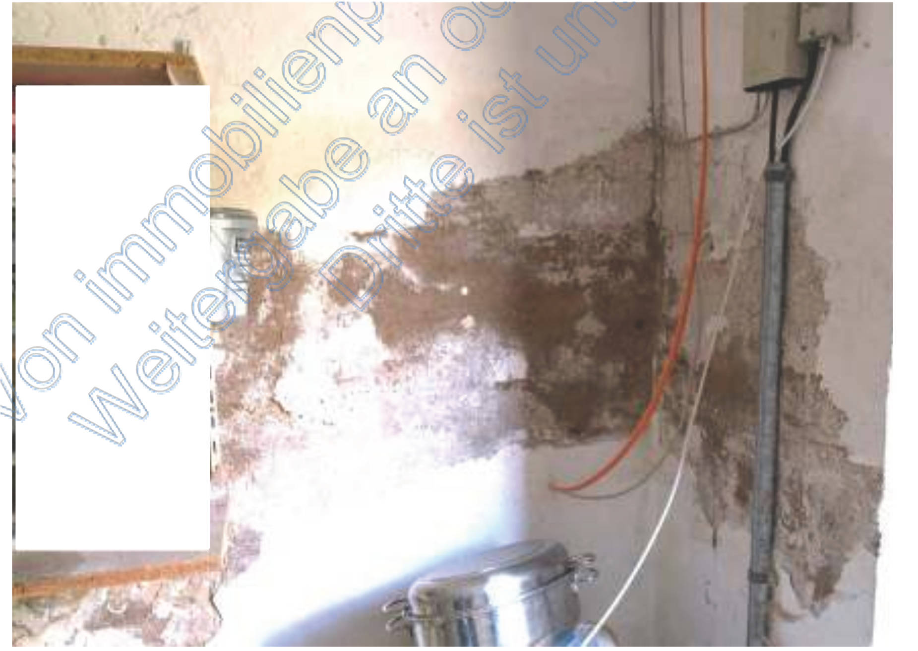 rheinland-pfalz 0023K0020/2024 Heiligenbungert 5, 54317 Kasel 16