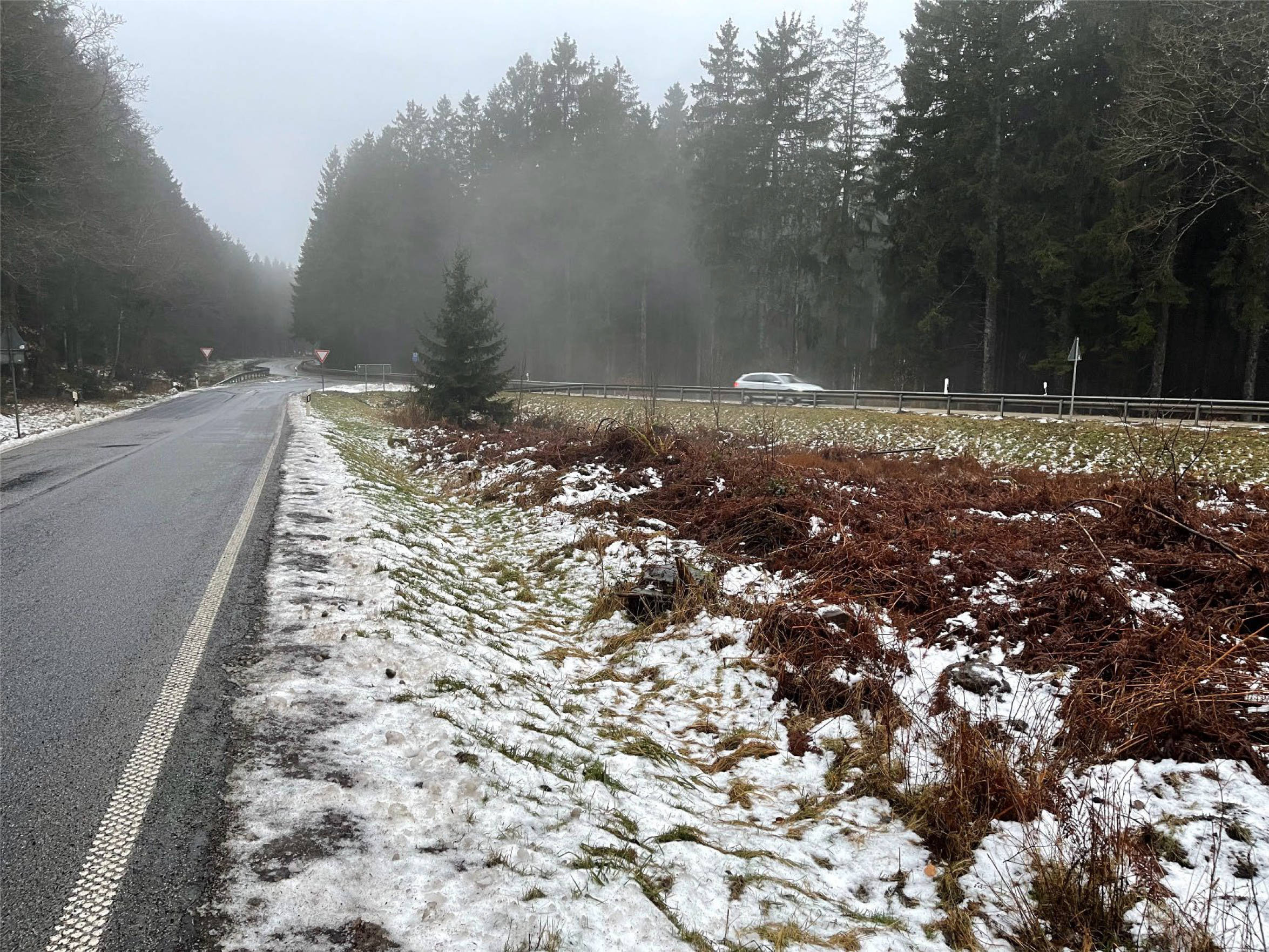 land- und forstwirtschaftlich genutztes Grundstück in Wodelberg, 00000 Zerf - Bild 2