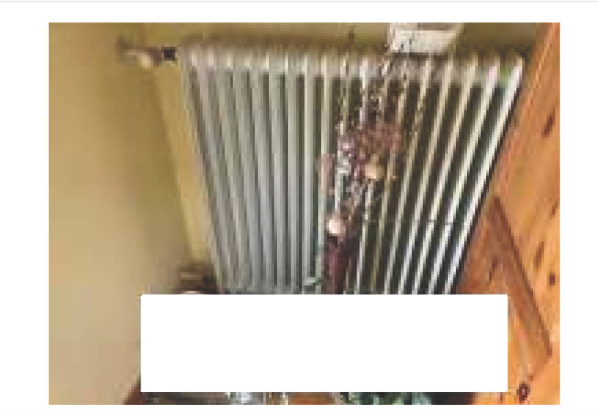 rheinland-pfalz 0023 K 0024/2025 Schubertstraße 10, 54329 Konz 11