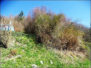 unbebautes Grundstück in Buchwies 21, 54426 Büdlich