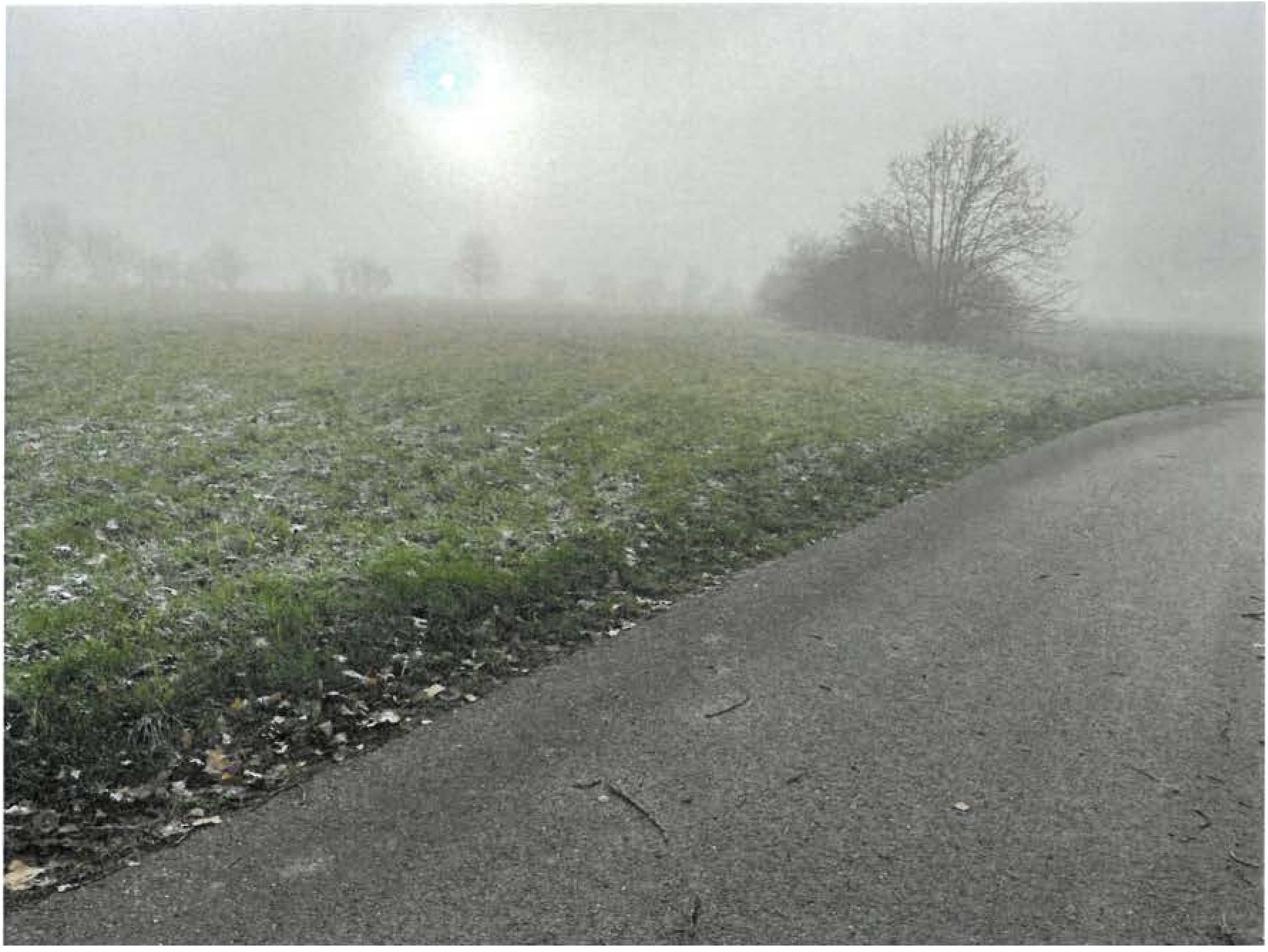 rheinland-pfalz 0036K0061-2021 Ringstraße 10, 56288 Völkenroth 13