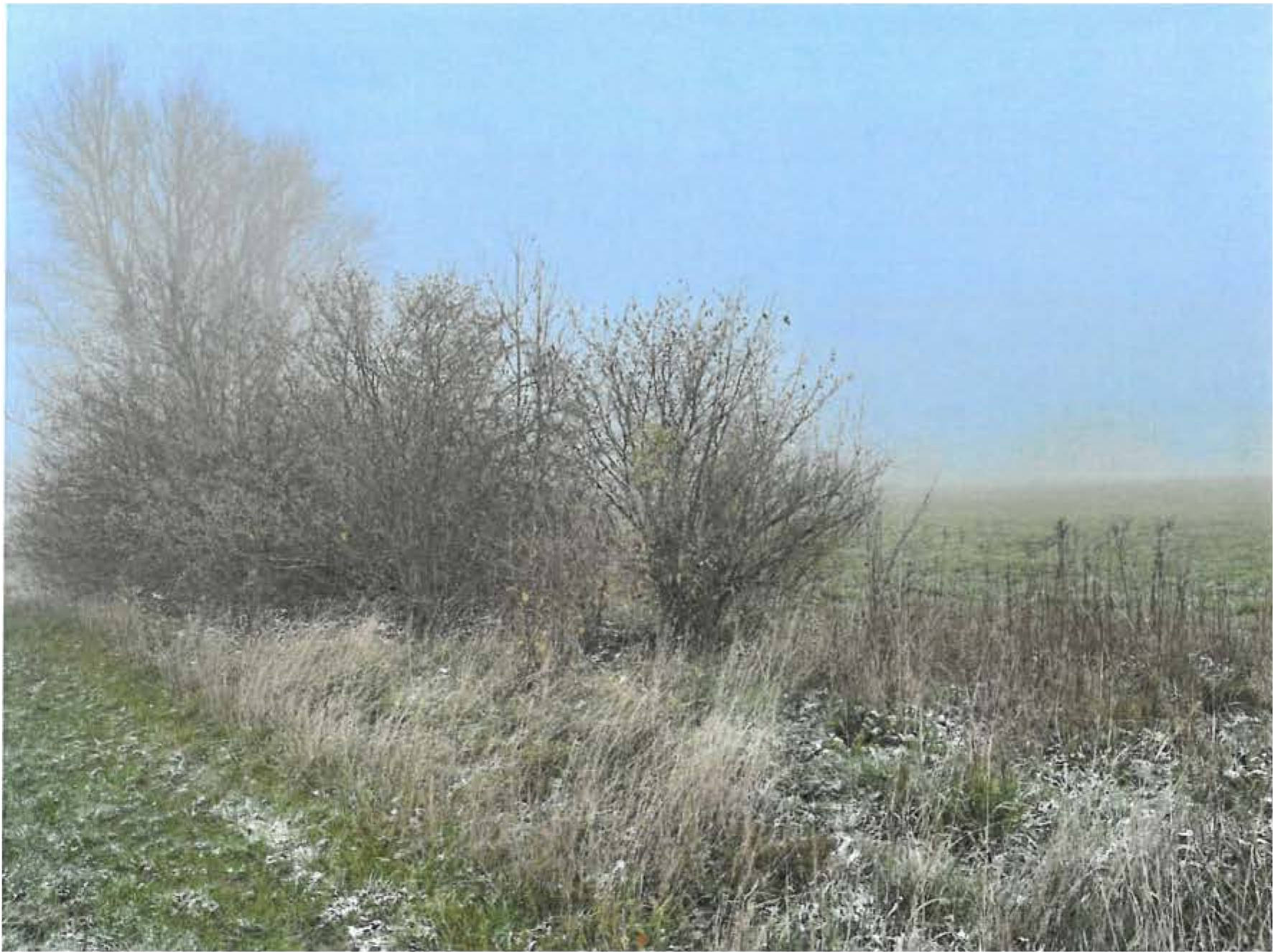 rheinland-pfalz 0036K0061-2021 Ringstraße 10, 56288 Völkenroth 10
