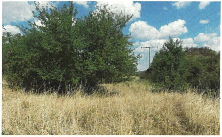 An der Ziegelhütte, 00000 Engelstadt