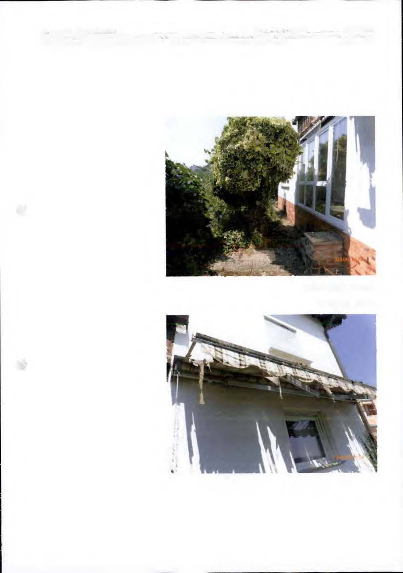 rheinland-pfalz 0042 K 0017/2024 Auf der Trift  12 C, 55413 Weiler 6