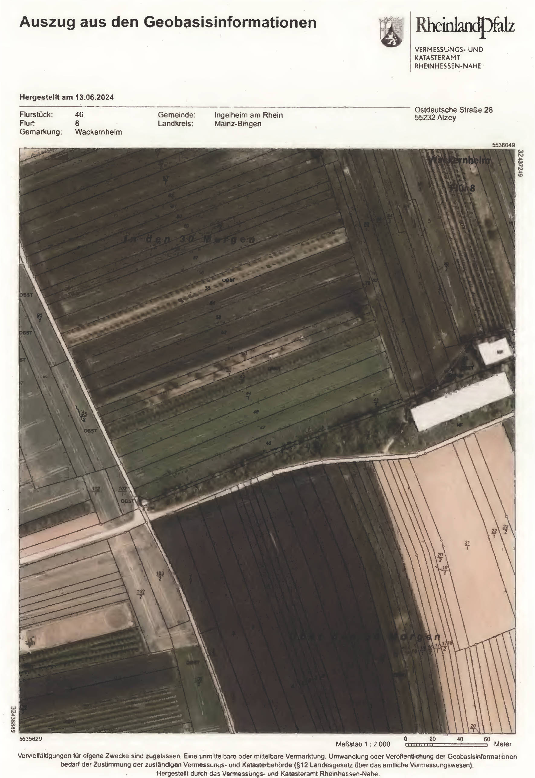 Landwirtschaftsflächen in Im Wolfszahl, 00000 Wackernheim - Bild 3