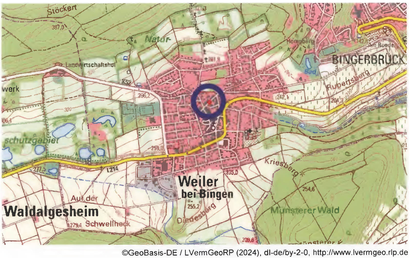 rheinland-pfalz 0043K0020/2023 Hofstraße  8, 55413 Weiler bei Bingen 9
