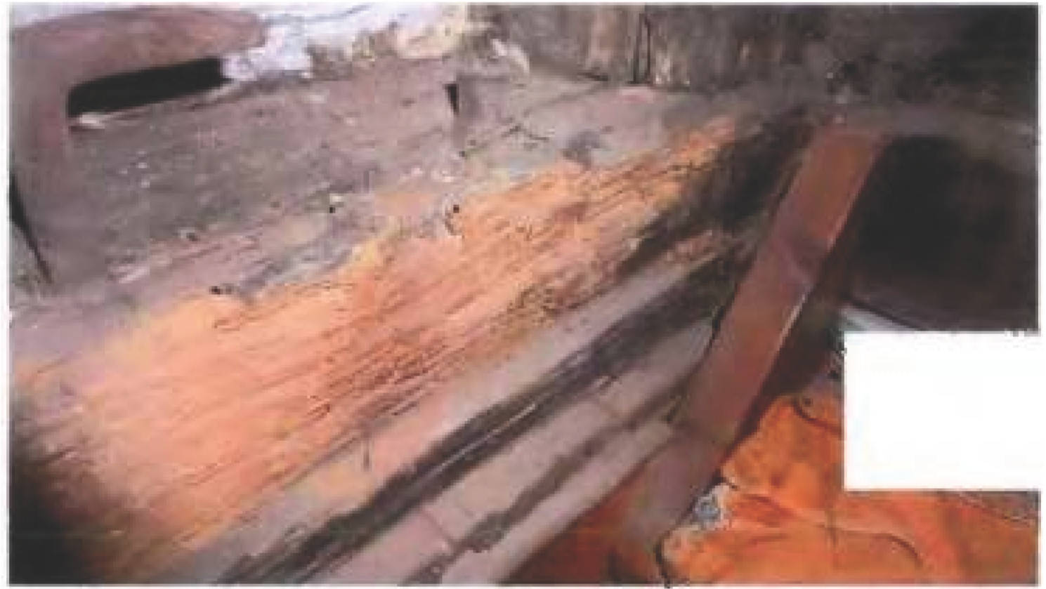 rheinland-pfalz 0260 K 0052/2023 Im Borner Grund 48, 55127 Marienborn 19