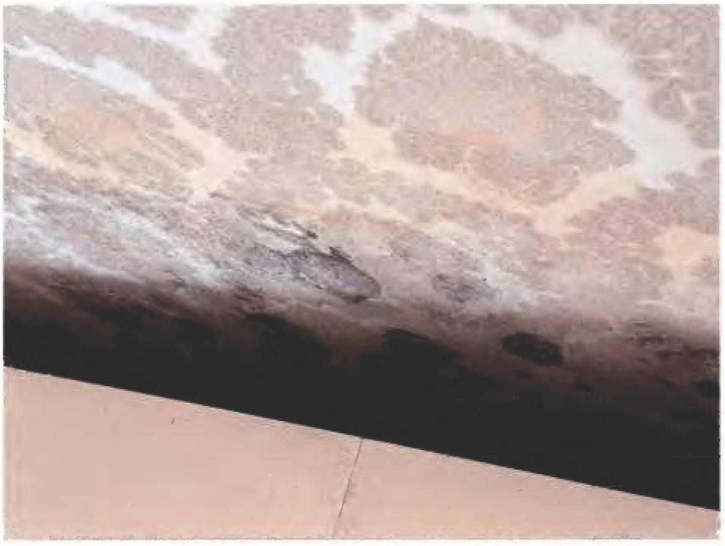 rheinland-pfalz 0260 K 0054/2023 Pfarrgasse 12, 55130 Mainz-Laubenheim 14