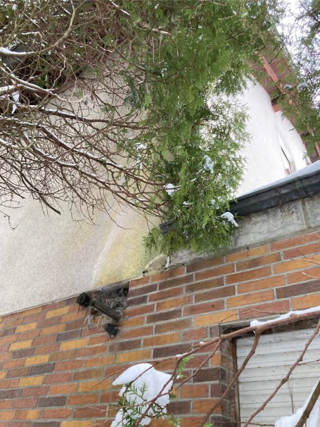 rheinland-pfalz 1 K 20/23 Hauptstraße 1, 57612 Hilgenroth 19