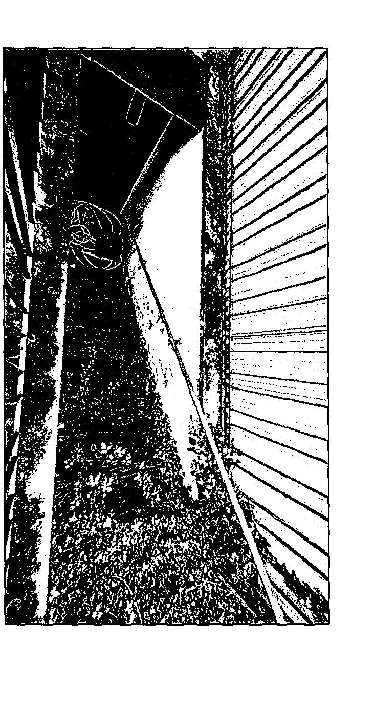 Wohnhaus in Loreleyring 3B, 56346 Sankt Goarshausen - Bild 2