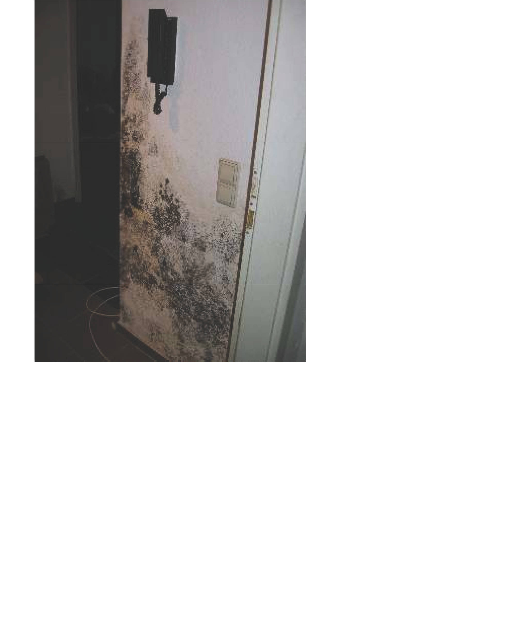 Zweizimmerwohnung in Brahmsstraße 3, 67454 Haßloch - Bild 2