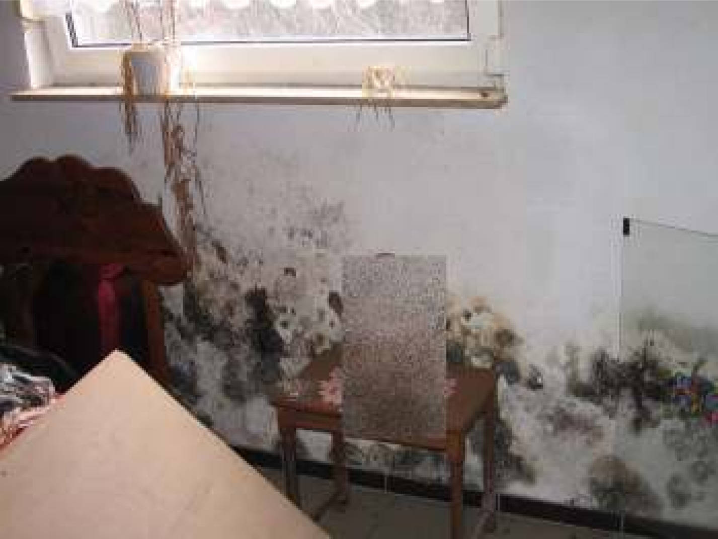 rheinland-pfalz 1 K 24/22 Brahmsstraße 3, 67454 Haßloch 6