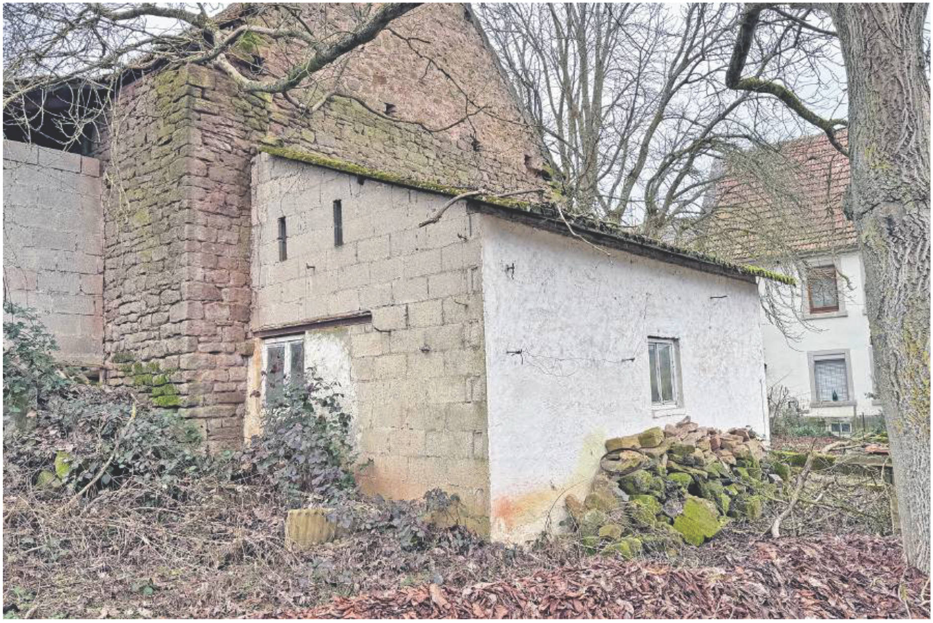 Einfamilienhaus in Friedensstraße 11, 66887 Horschbach - Bild 5