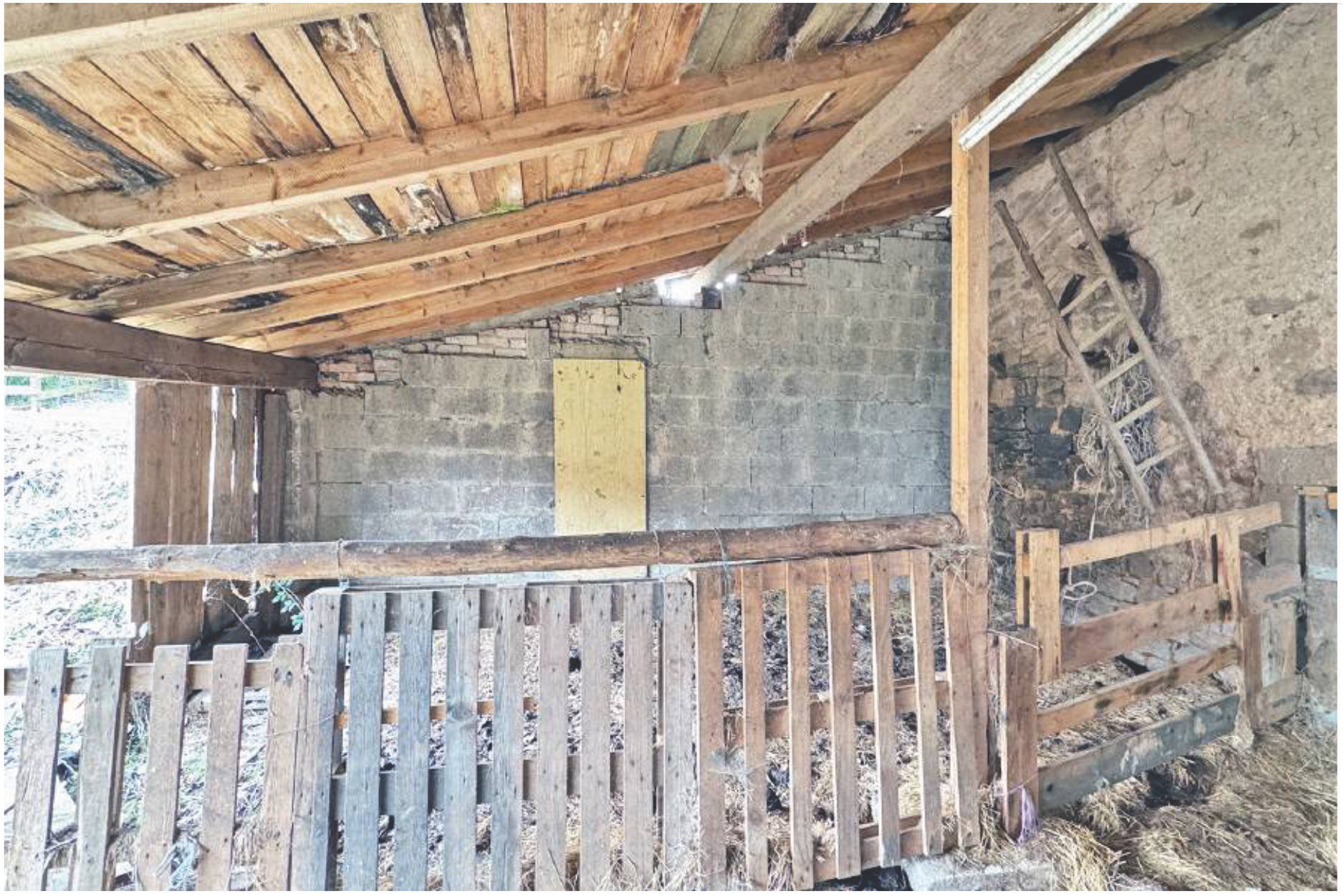 rheinland-pfalz 1 K 24/23 Friedensstraße 11, 66887 Horschbach 14