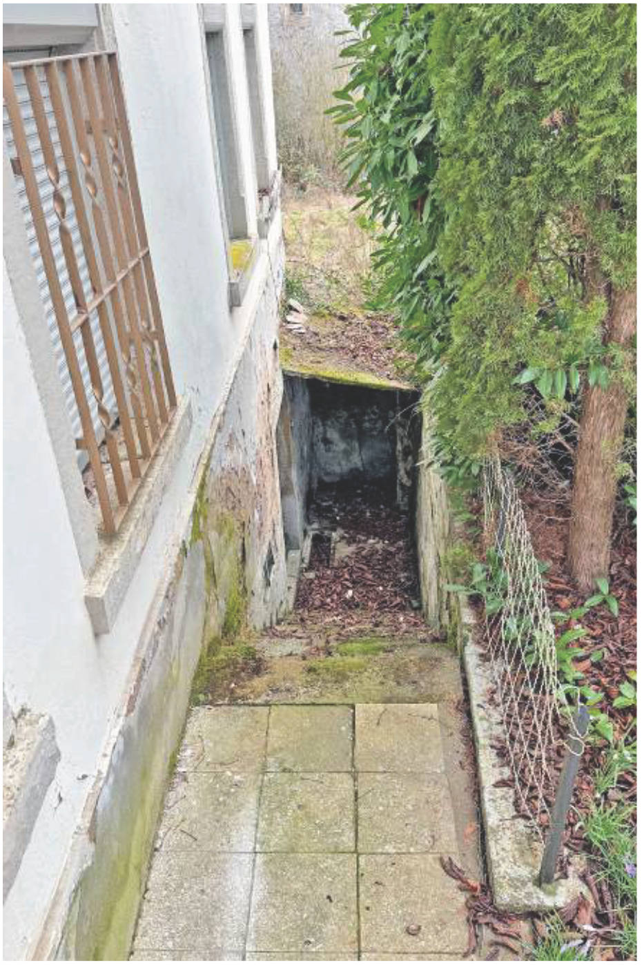 rheinland-pfalz 1 K 24/23 Friedensstraße 11, 66887 Horschbach 15