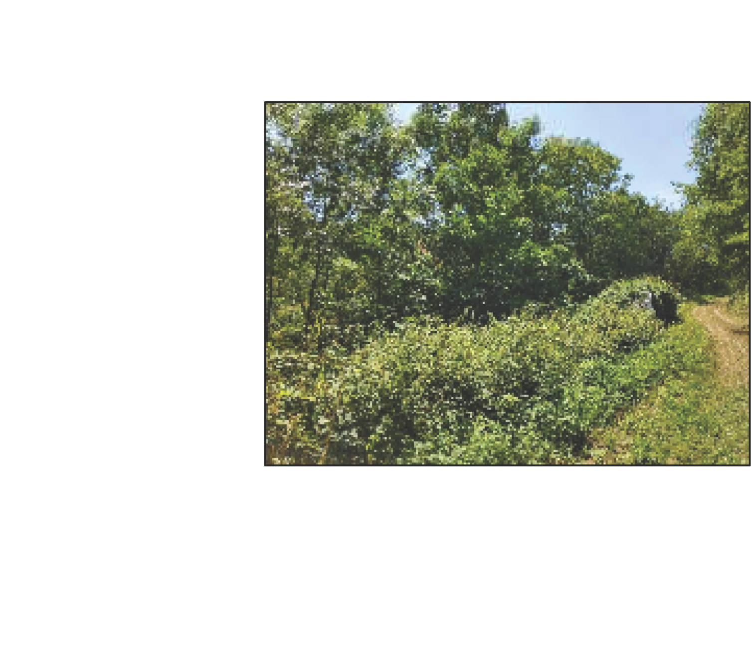 rheinland-pfalz 1 K 26/25 Hauptstraße 30, 67823 Unkenbach 13