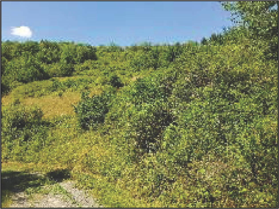 rheinland-pfalz 1 K 26/25 Hauptstraße 30, 67823 Unkenbach 14