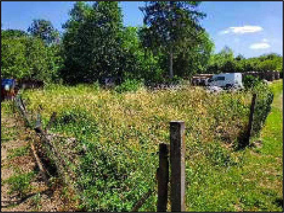 rheinland-pfalz 1 K 26/25 Hauptstraße 30, 67823 Unkenbach 12