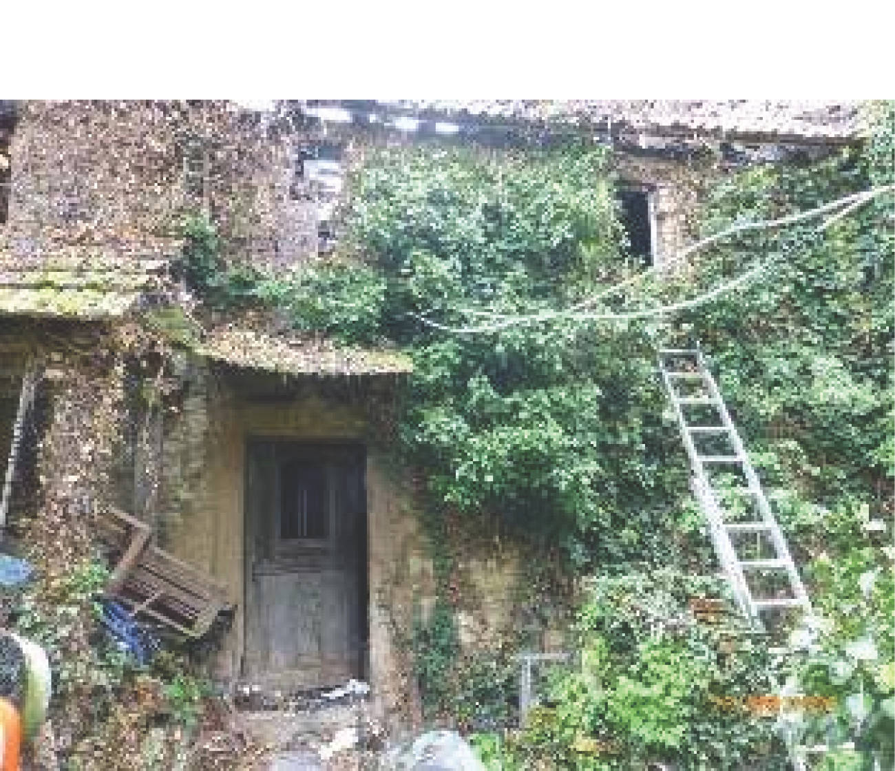 rheinland-pfalz 1 K 5/23 Kegelbahnstraße 8, 55286 Wörrstadt - Rommersheim 6