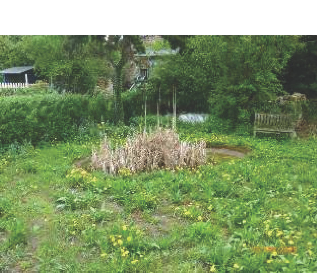 rheinland-pfalz 1 K 5/23 Kegelbahnstraße 8, 55286 Wörrstadt - Rommersheim 9