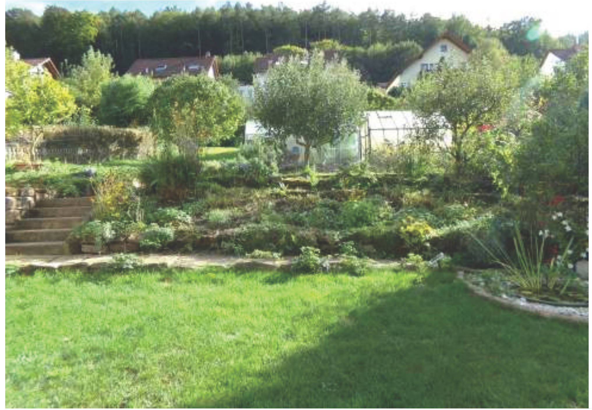 Einfamilienhaus in Auf den Wergen 38, 67466 Lambrecht (Pfalz) - Bild 5