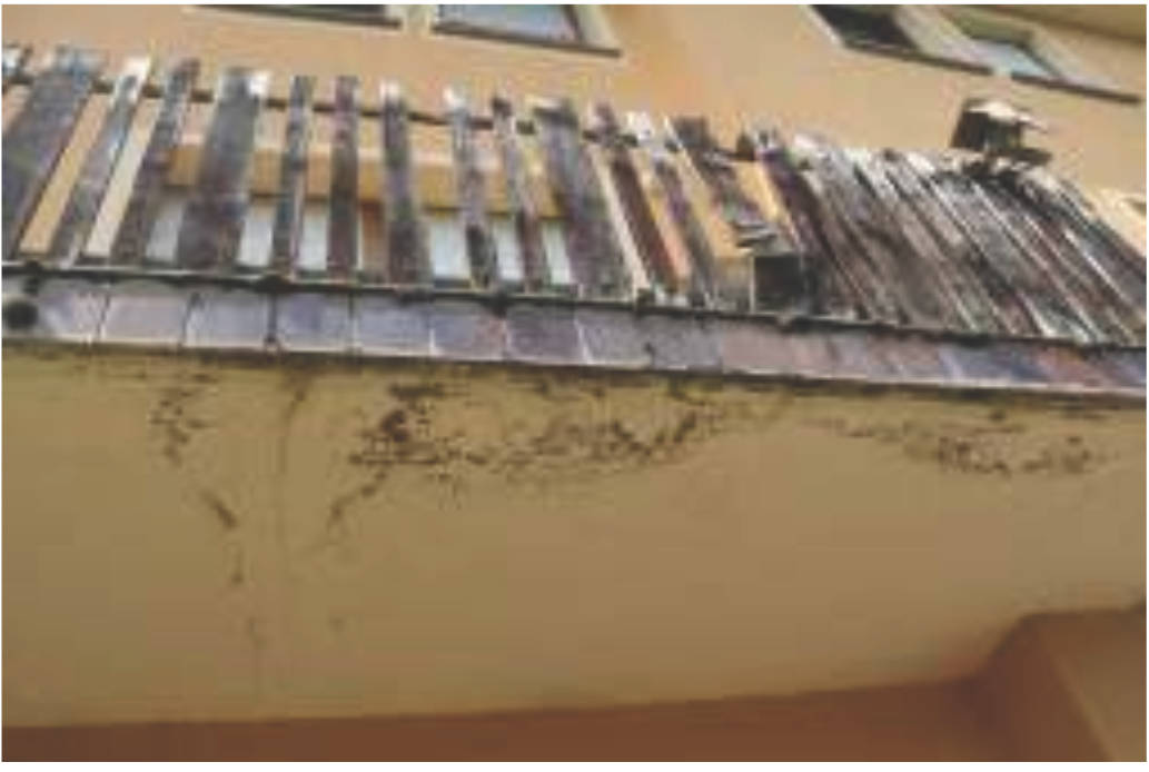 rheinland-pfalz 10 K 3/24 Im Kiemen 3, 54675 Mettendorf 19