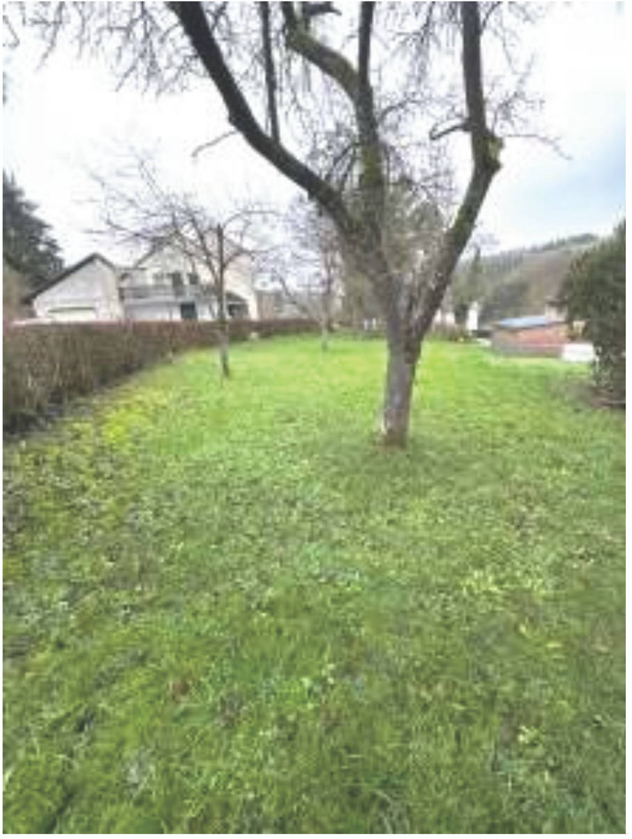 Sonstiges Haus in Kornmarkt 1, 54636 Biersdorf am See - Bild 5