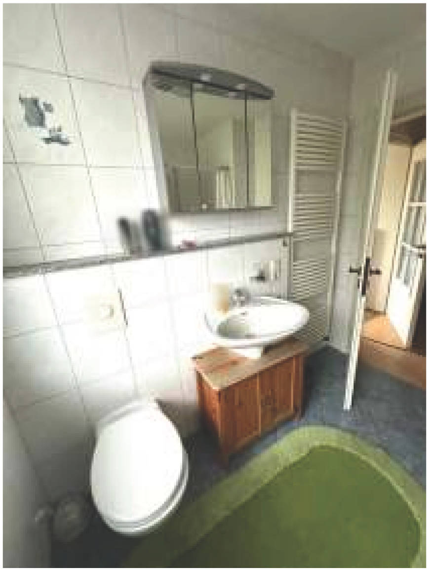 rheinland-pfalz 10 K 46/24 Kornmarkt 1, 54636 Biersdorf am See 21