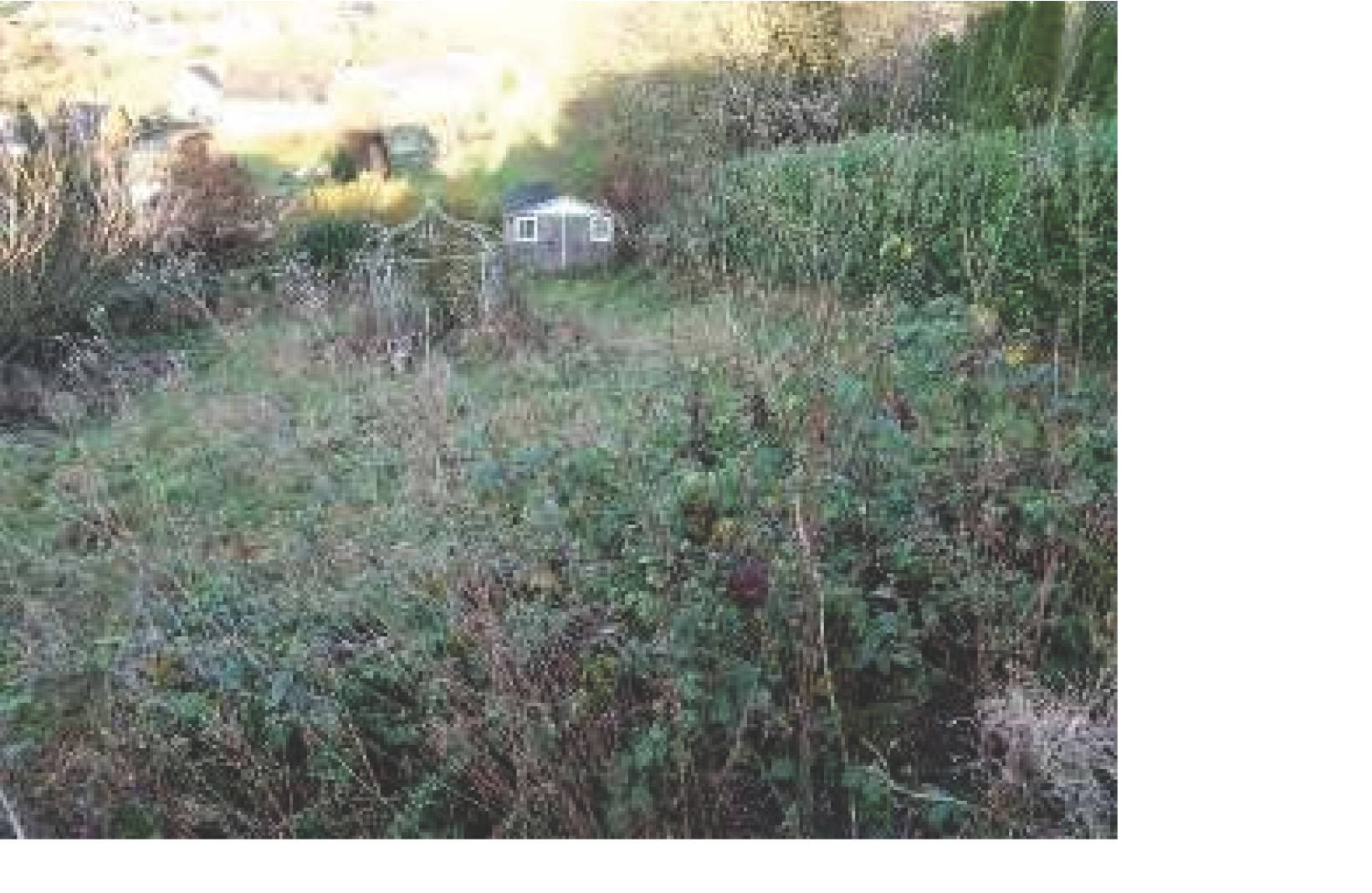 Einfamilienhaus in Im Büschel, 54675 Utscheid - Bild 5