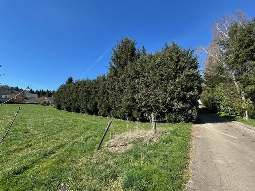 rheinland-pfalz 10 K 84/24 Poststraße 11, 54584 Feusdorf 6