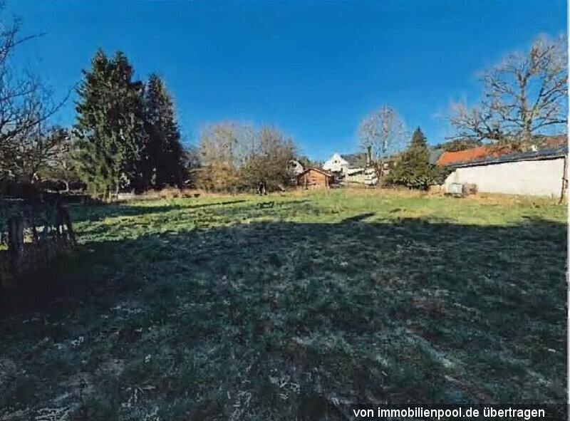 Feld, Wald und Wiese in 55776 Reichenbach - Bild 3