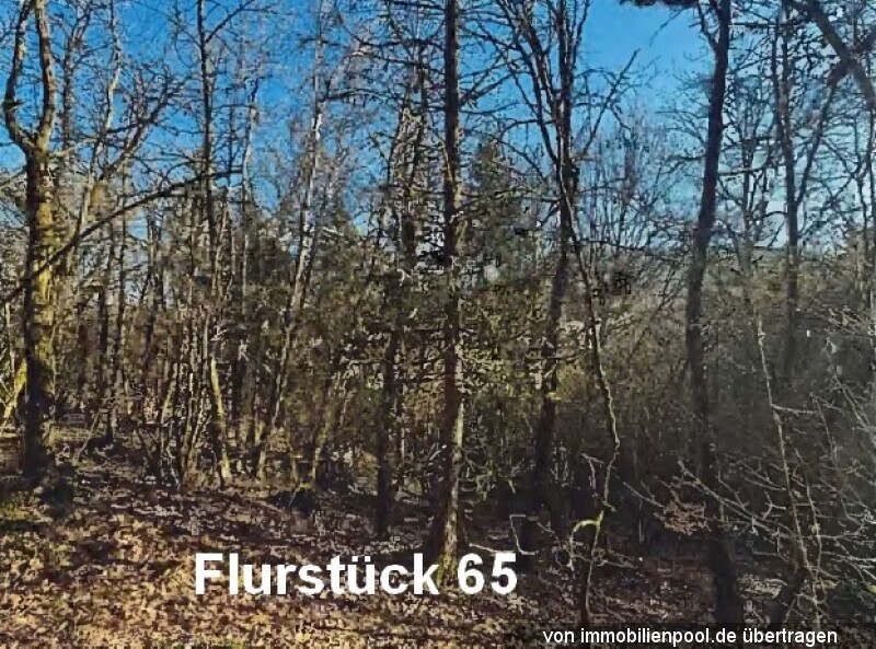 Feld, Wald und Wiese in 55776 Reichenbach - Bild 2