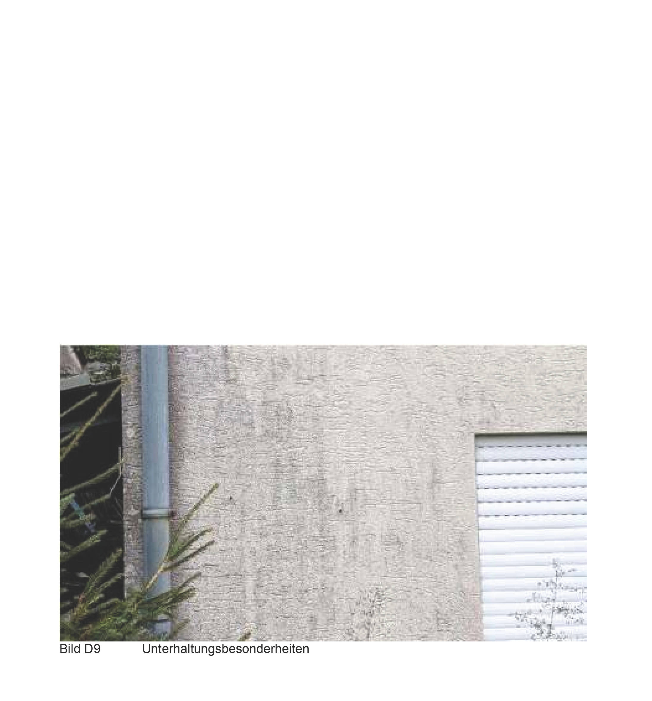 rheinland-pfalz 12 K 23/25 Waldstraße 21, 56459 Brandscheid 7