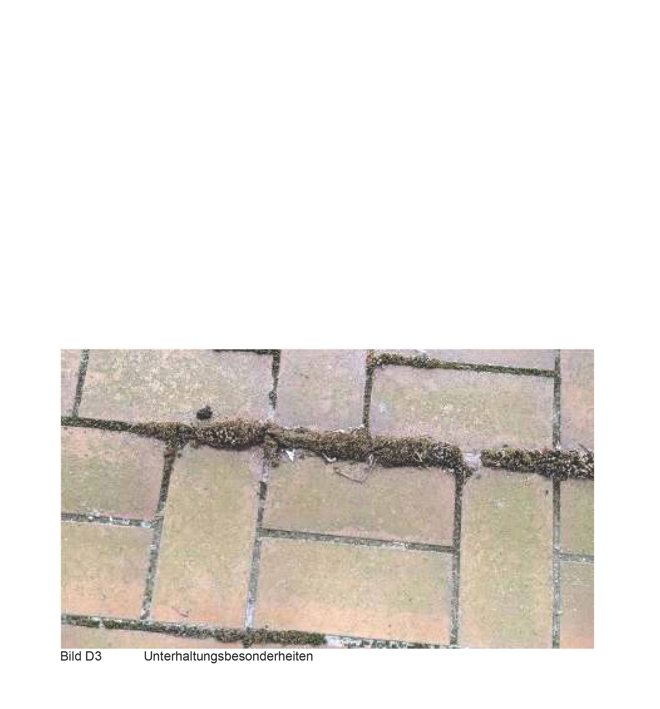 rheinland-pfalz 12 K 23/25 Waldstraße 21, 56459 Brandscheid 10