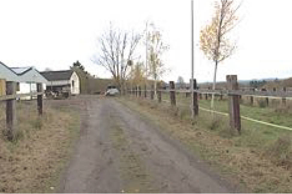 land-/ forstwirtschtl. Flächen in Mathieliger Bach, 56812 Valwig - Bild 3