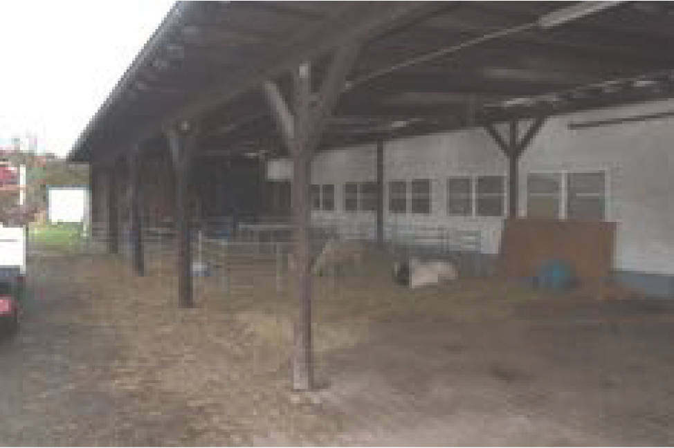 land-/ forstwirtschtl. Flächen in Mathieliger Bach, 56812 Valwig - Bild 5