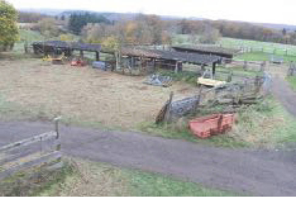 land-/ forstwirtschtl. Flächen in Bei Dainz, 56812 Valwig - Bild 3