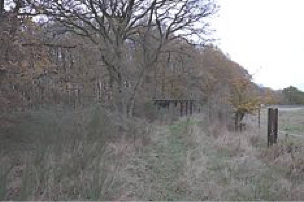 land-/ forstwirtschtl. Flächen in Förstgern, 56812 Valwig - Bild 3