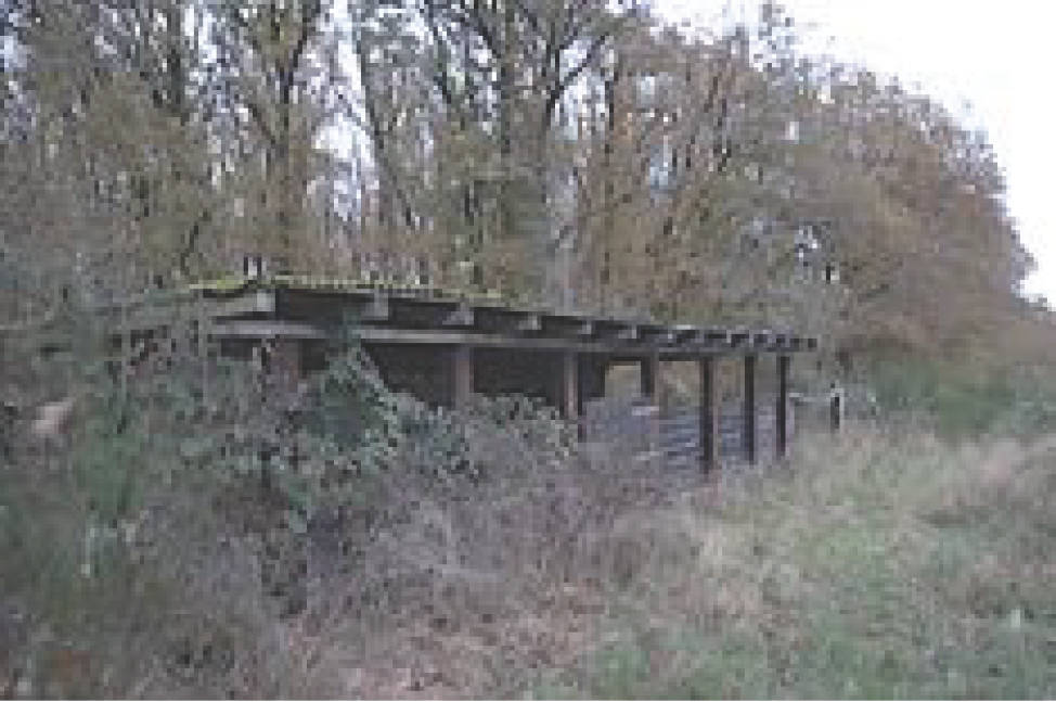 land-/ forstwirtschtl. Flächen in Förstgern, 56812 Valwig - Bild 5