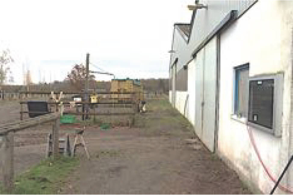 Gestüt in Dainzhof 1, 56812 Valwig - Bild 2