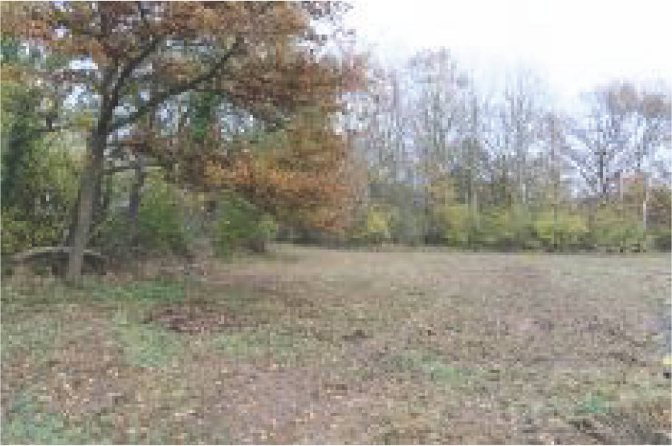 Gestüt in Dainzhof 1, 56812 Valwig - Bild 4