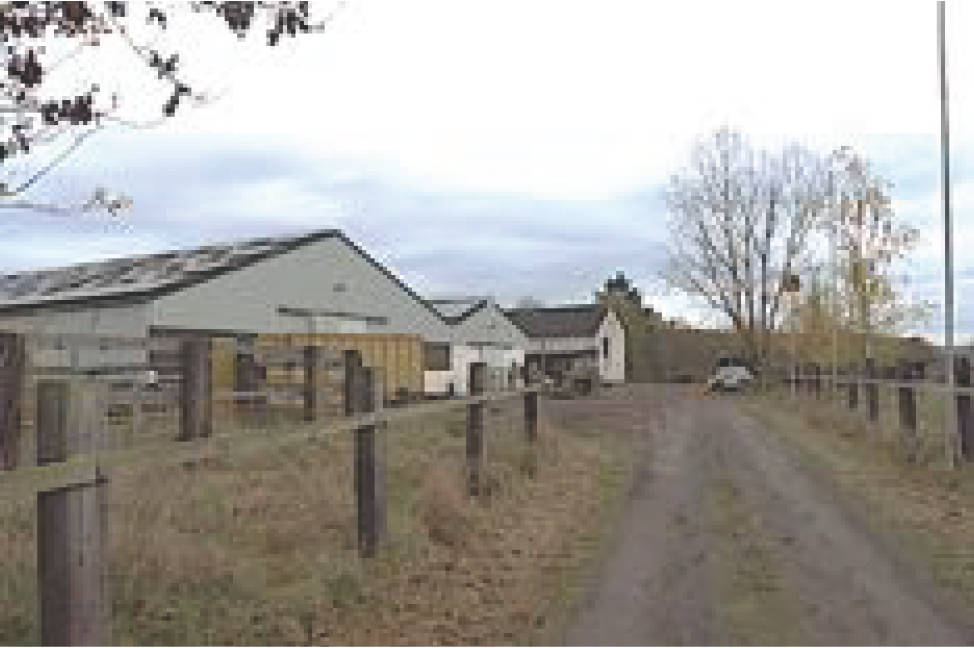 land-/ forstwirtschtl. Flächen in Bei Dainz, 56812 Valwig - Bild 3
